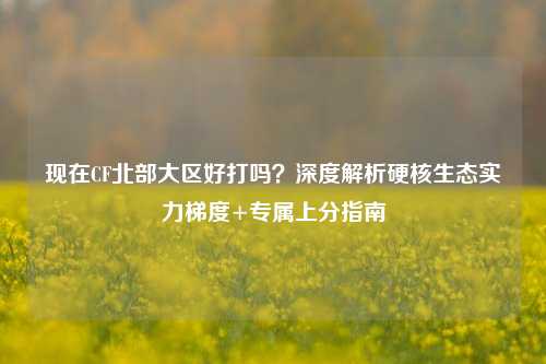 现在CF北部大区好打吗?深度解析硬核生态实力梯度+专属上分指南