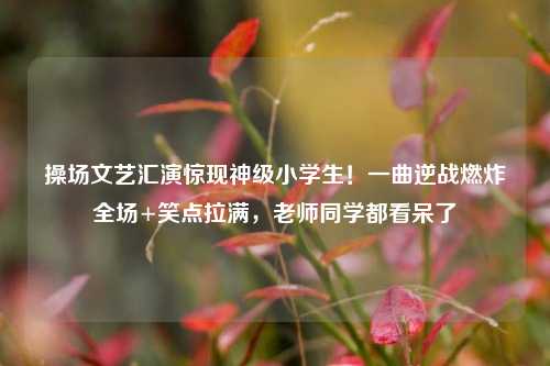 操场文艺汇演惊现神级小学生！一曲逆战燃炸全场+笑点拉满，老师同学都看呆了