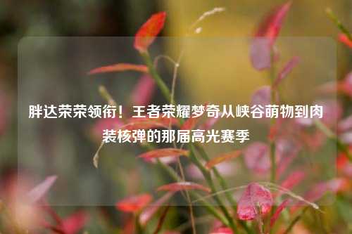 胖达荣荣领衔!王者荣耀梦奇从峡谷萌物到肉装核弹的那届高光赛季