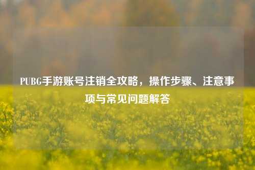 PUBG手游账号注销全攻略,操作步骤、注意事项与常见问题解答