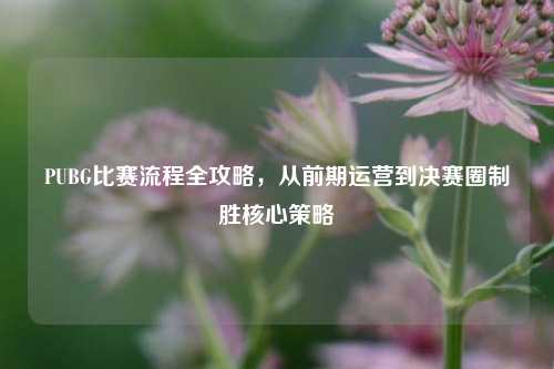 PUBG比赛流程全攻略,从前期运营到决赛圈制胜核心策略