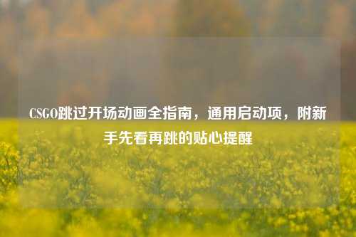 CSGO跳过开场动画全指南,通用启动项,附新手先看再跳的贴心提醒