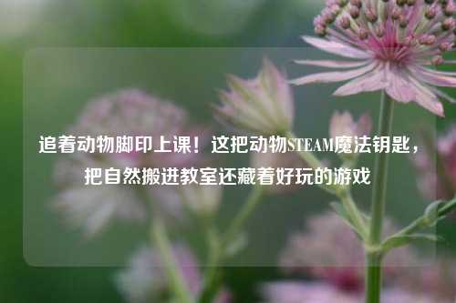追着动物脚印上课!这把动物STEAM魔法钥匙,把自然搬进教室还藏着好玩的游戏