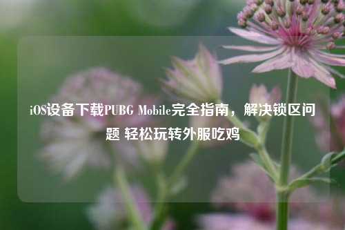 iOS设备下载PUBG Mobile完全指南,解决锁区问题 轻松玩转外服吃鸡