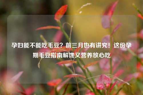 孕妇能不能吃毛豆？前三月也有讲究！这份孕期毛豆指南解馋又营养放心吃