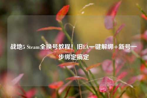 战地5 Steam全换号教程!旧EA一键解绑+新号一步绑定搞定