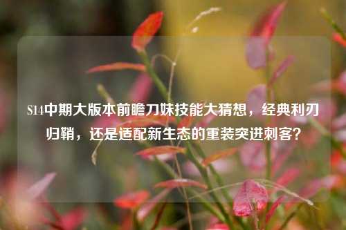 S14中期大版本前瞻刀妹技能大猜想,经典利刃归鞘,还是适配新生态的重装突进刺客?