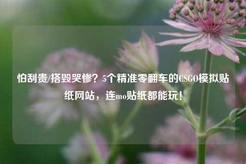 怕刮贵/搭毁哭惨?5个精准零翻车的CSGO模拟贴纸网站,连mo贴纸都能玩!