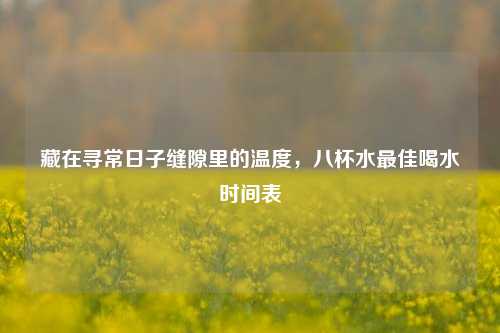 藏在寻常日子缝隙里的温度,八杯水更佳喝水时间表