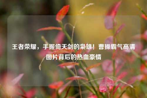 王者荣耀，手握倚天剑的枭雄！曹操霸气高清图片背后的热血豪情