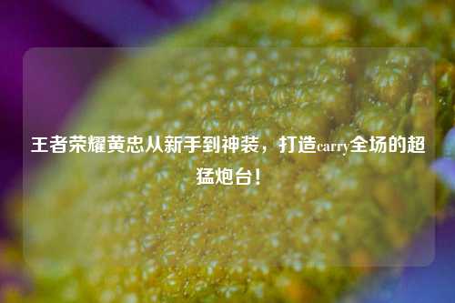 王者荣耀黄忠从新手到神装,打造carry全场的超猛炮台!