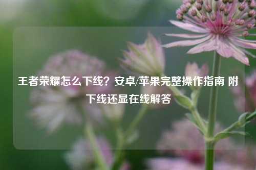 王者荣耀怎么下线？安卓/苹果完整操作指南 附下线还显在线解答