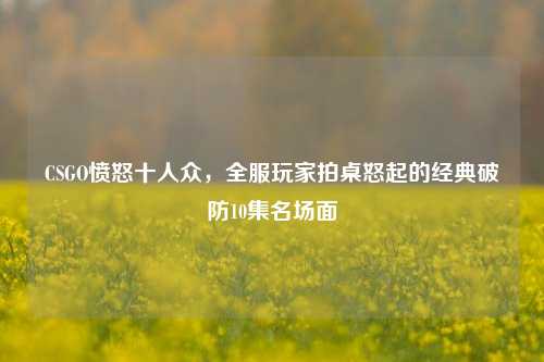 CSGO愤怒十人众，全服玩家拍桌怒起的经典破防10集名场面