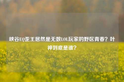 峡谷EQ歪王居然是无数LOL玩家的野区青春?叶神到底是谁?