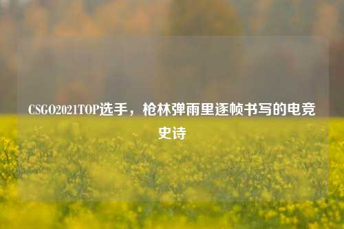 CSGO2021TOP选手,枪林弹雨里逐帧书写的电竞史诗