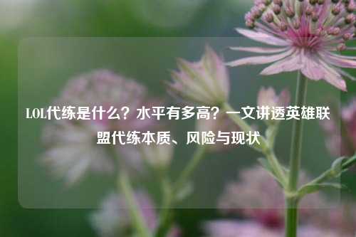 LOL代练是什么?水平有多高?一文讲透英雄联盟代练本质、风险与现状