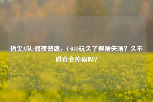 指尖A队/熬夜警魂，CSGO玩久了得啥失啥？久不碰真会掉段吗？