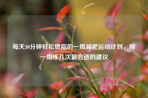 每天30分钟轻松燃脂的一周减肥运动计划，附一周练几次最合适的建议