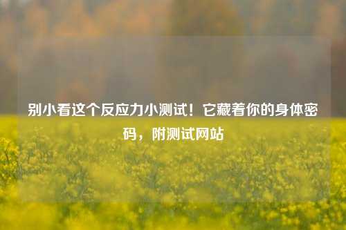 别小看这个反应力小测试!它藏着你的身体密码,附测试网站