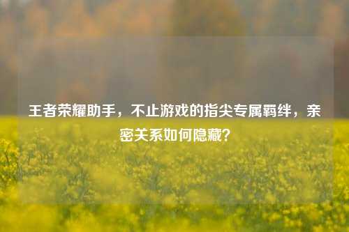 王者荣耀助手,不止游戏的指尖专属羁绊,亲密关系如何隐藏?