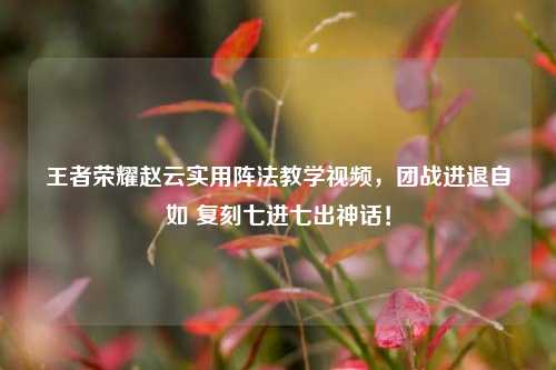 王者荣耀赵云实用阵法教学视频，团战进退自如 复刻七进七出神话！