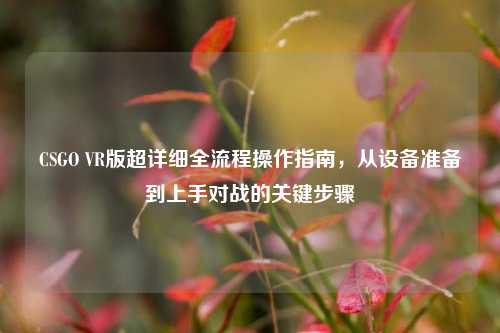 CSGO VR版超详细全流程操作指南,从设备准备到上手对战的关键步骤