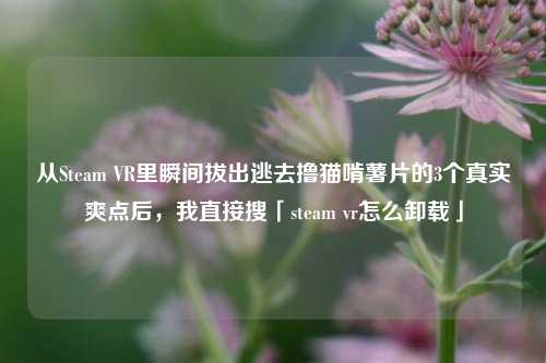 从Steam VR里瞬间拔出逃去撸猫啃薯片的3个真实爽点后,我直接搜「steam vr怎么卸载」