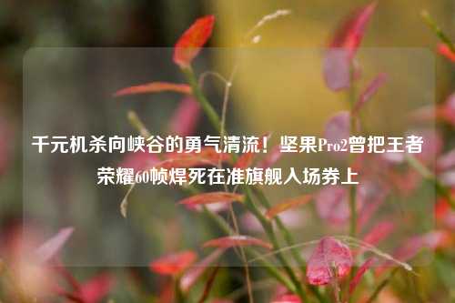 千元机杀向峡谷的勇气清流!坚果Pro2曾把王者荣耀60帧焊死在准旗舰入场券上