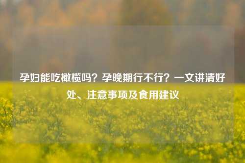 孕妇能吃橄榄吗？孕晚期行不行？一文讲清好处、注意事项及食用建议