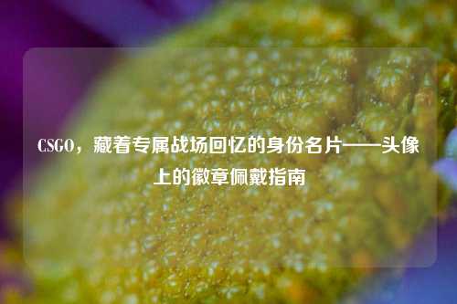 CSGO，藏着专属战场回忆的身份名片——头像上的徽章佩戴指南