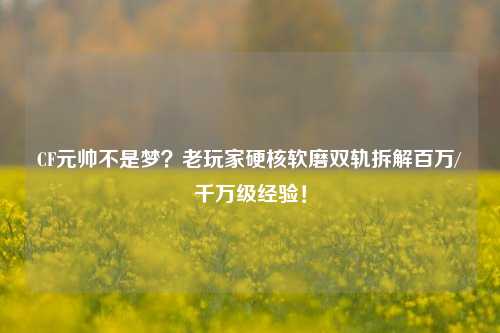 CF元帅不是梦?老玩家硬核软磨双轨拆解百万/千万级经验!