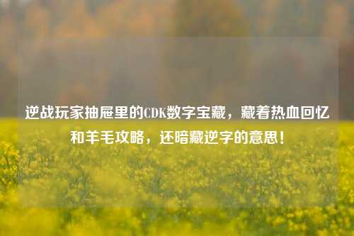 逆战玩家抽屉里的CDK数字宝藏,藏着热血回忆和羊毛攻略,还暗藏逆字的意思!