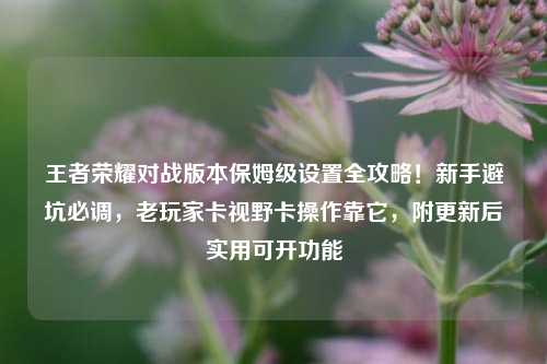 王者荣耀对战版本保姆级设置全攻略！新手避坑必调，老玩家卡视野卡操作靠它，附更新后实用可开功能