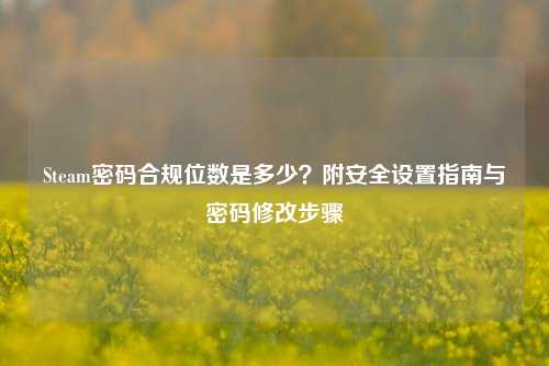 Steam密码合规位数是多少?附安全设置指南与密码修改步骤