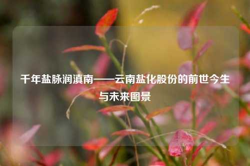 千年盐脉润滇南——云南盐化股份的前世今生与未来图景