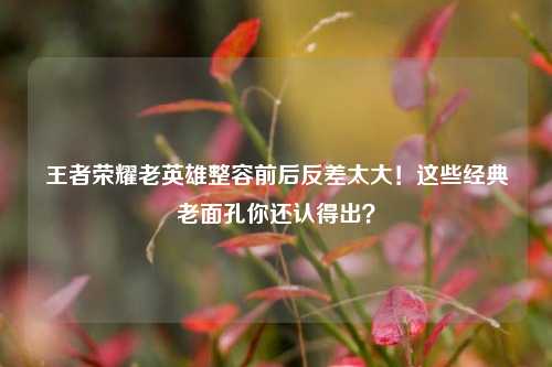 王者荣耀老英雄整容前后反差太大！这些经典老面孔你还认得出？