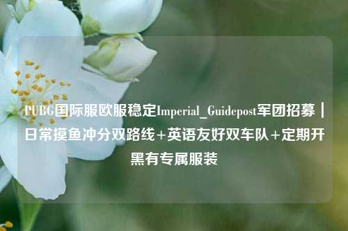 PUBG国际服欧服稳定Imperial_Guidepost军团招募|日常摸鱼冲分双路线+英语友好双车队+定期开黑有专属服装