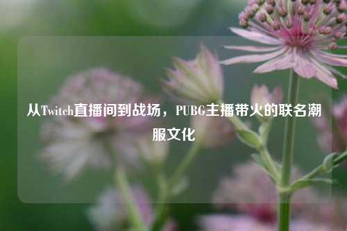 从Twitch直播间到战场,PUBG主播带火的联名潮服文化
