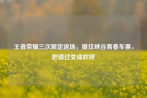 王者荣耀三次限定返场,攥住峡谷青春车票,把错过变成欢呼