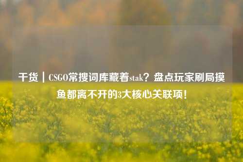 干货|CSGO常搜词库藏着stak?盘点玩家刷局摸鱼都离不开的3大核心关联项!