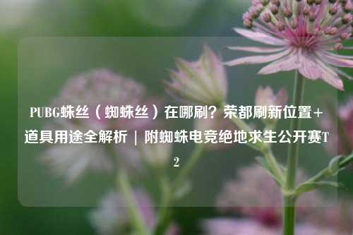 PUBG蛛丝(蜘蛛丝)在哪刷?荣都刷新位置+道具用途全解析 | 附蜘蛛电竞绝地求生公开赛T2