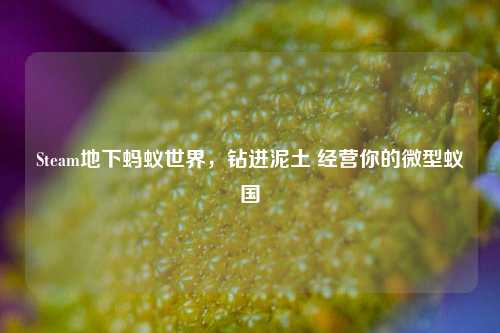Steam地下蚂蚁世界,钻进泥土 经营你的微型蚁国