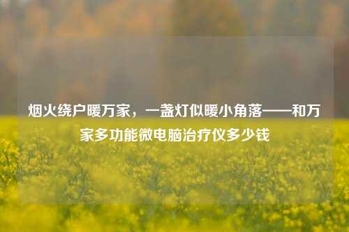 烟火绕户暖万家，一盏灯似暖小角落——和万家多功能微电脑治疗仪多少钱