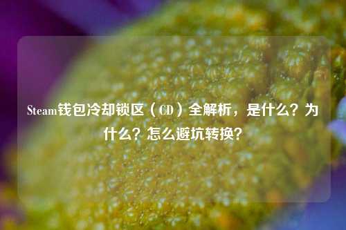 Steam钱包冷却锁区(CD)全解析,是什么?为什么?怎么避坑转换?