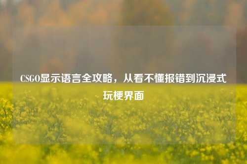 CSGO显示语言全攻略，从看不懂报错到沉浸式玩梗界面