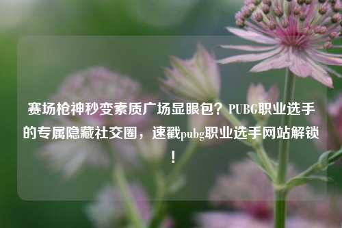 赛场枪神秒变素质广场显眼包?PUBG职业选手的专属隐藏社交圈,速戳pubg职业选手网站解锁!