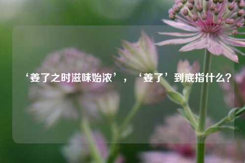 ‘姜了之时滋味始浓’,‘姜了’到底指什么?