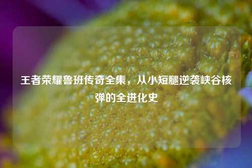 王者荣耀鲁班传奇全集，从小短腿逆袭峡谷核弹的全进化史