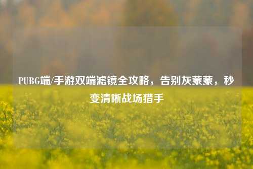 PUBG端/手游双端滤镜全攻略,告别灰蒙蒙,秒变清晰战场猎手