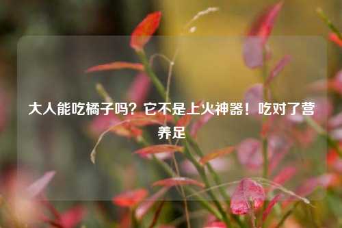 大人能吃橘子吗？它不是上火神器！吃对了营养足